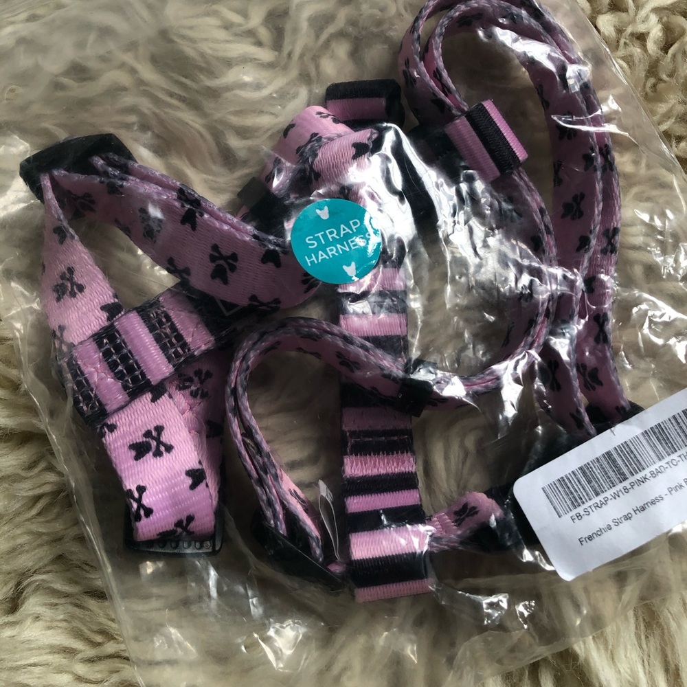 Frenchie bulldog harness